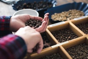 Different types of roasted coffee beans