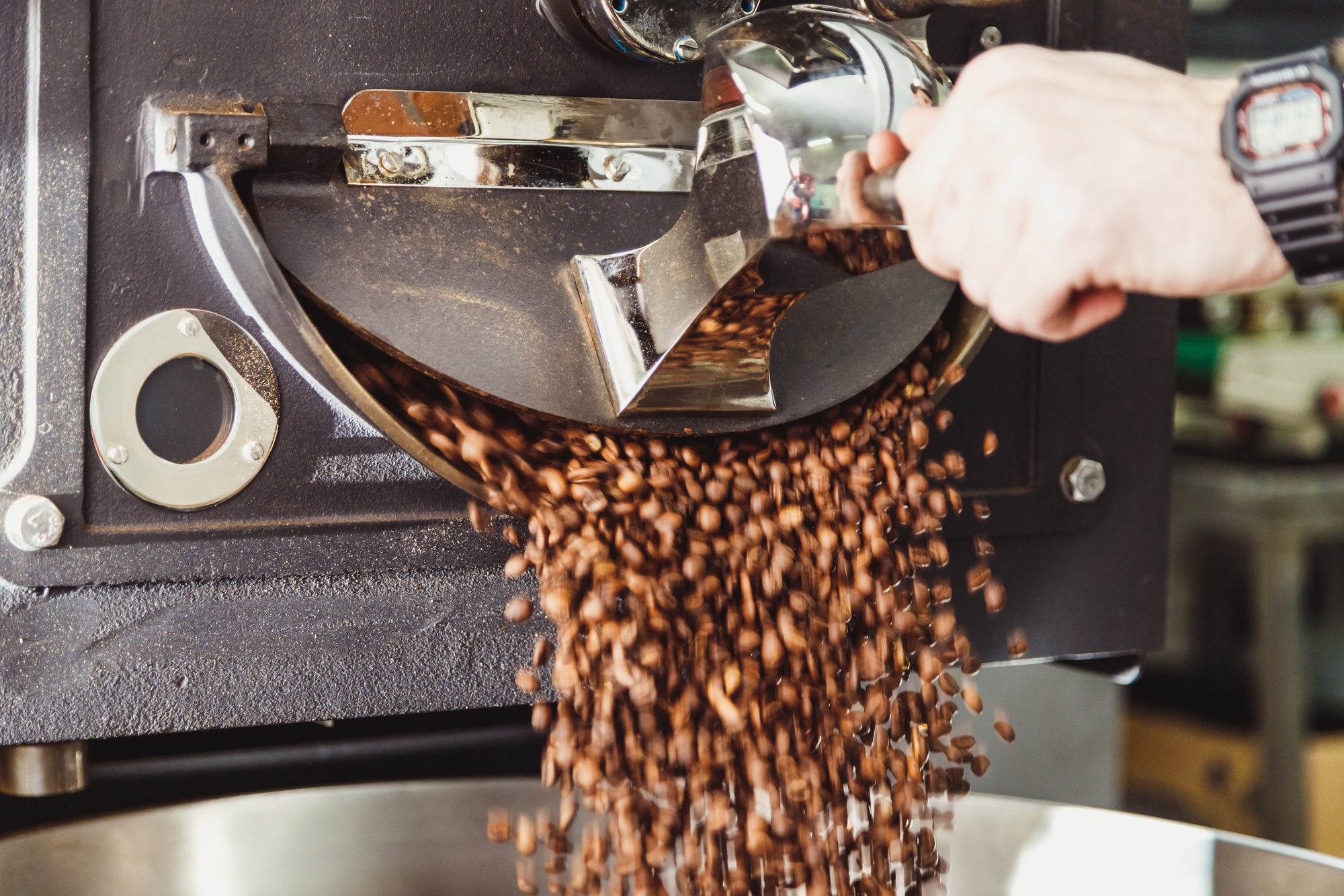 Coffee beans roasting and cooling